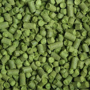 2025 NZ Pacifica T90 Hop Pellets