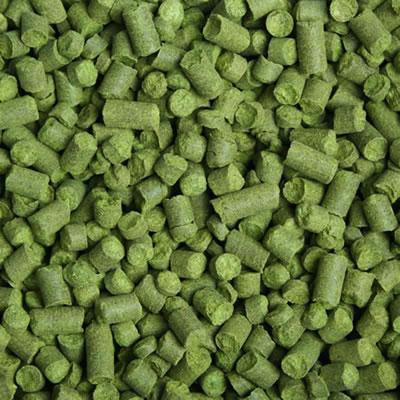 2025 NZ Pacifica T90 Hop Pellets