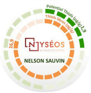 2025 NZ Nelson Sauvin T90 Hop Pellets