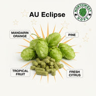 Eclipse® Hop Pellets 2025 – Australian Citrus & Pine Aroma Hops