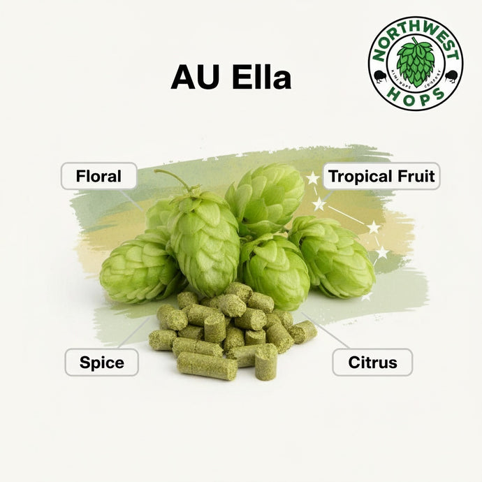 2024 AU Ella™ Hop Pellets – Australian Floral & Spice Aroma Hops | Northwest Hops