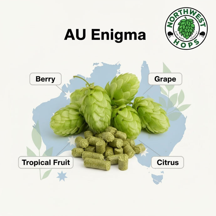 2024 AU Enigma™ Hop Pellets – Australian Berry & Tropical Aroma Hops | Northwest Hops