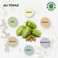 Topaz Hop Pellets 2024 – Australian Citrus & Spice Aroma Hops