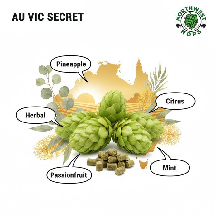 2024 AU Vic Secret Hop Pellets – Australian Pine & Tropical Aroma Hops | Northwest Hops
