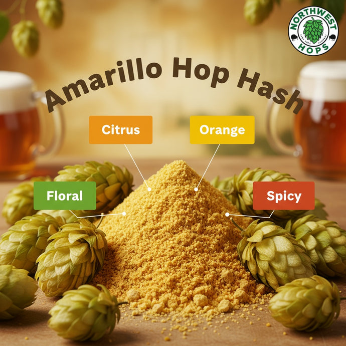 2024 Amarillo Hop Hash – US Citrus & Floral Aroma Hops | Northwest Hops