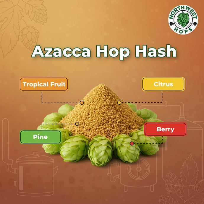 2024 Azacca Hop Hash – US Tropical & Citrus Aroma Hops | Northwest Hops