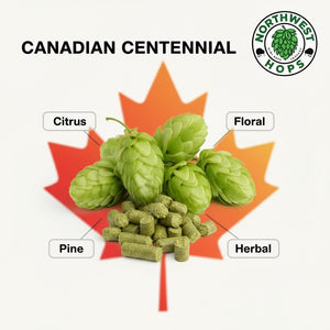 2024 Canadian Centennial T90 Hop Pellets