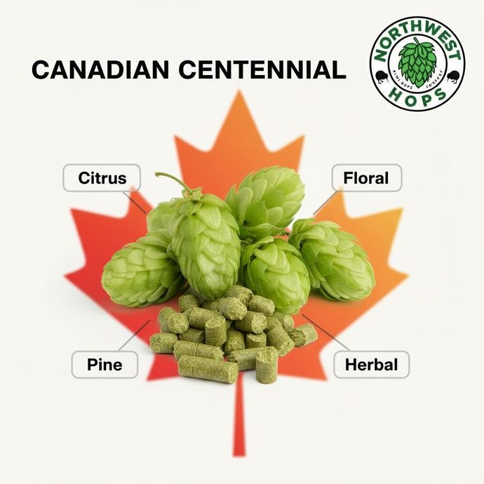 2024 Canadian Centennial T90 Hop Pellets
