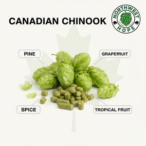 2024 Canadian Chinook T90 Hop Pellets