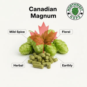 2024 Canadian Magnum T90 Hop Pellets