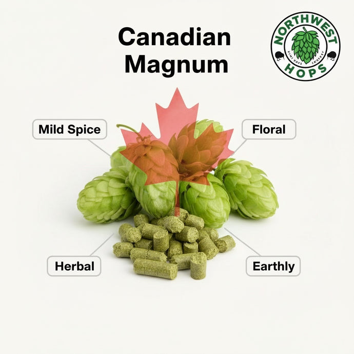 2024 Canadian Magnum T90 Hop Pellets