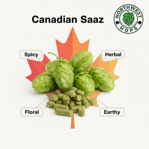 2024 Canadian Saaz T90 Hop Pellets
