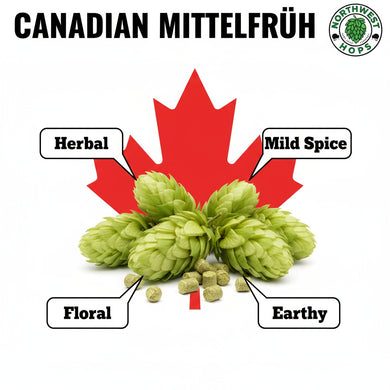 2025 Canadian Hallertau Mittelfrüh Hop Pellets – Classic Noble Aroma Hops from Canada | Northwest Hops