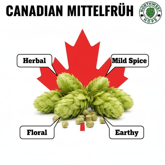 2025 Canadian Hallertau Mittelfrüh Hop Pellets – Classic Noble Aroma Hops from Canada | Northwest Hops