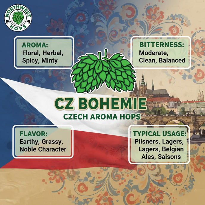 2024 CZ Bohemie Hop Pellets – Czech Floral & Herbal Aroma Hops | Northwest Hops