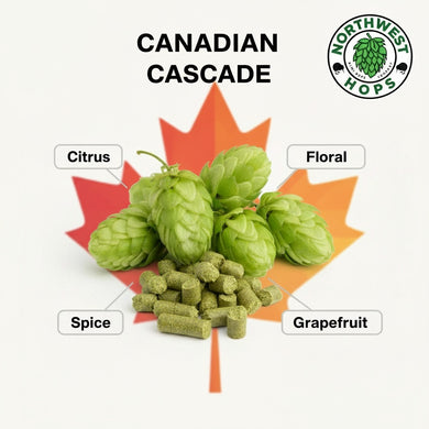 2024 Canadian Cascade T90 Hop Pellets