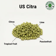 Citra Hop Pellets 2025 – American Citrus & Tropical Aroma Hops