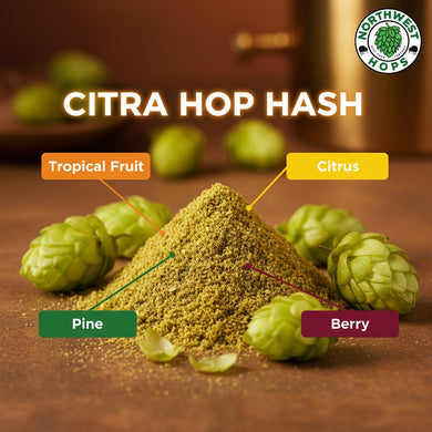 2024 Citra Hop Hash – US Intense Citrus & Tropical Aroma Hops | Northwest Hops