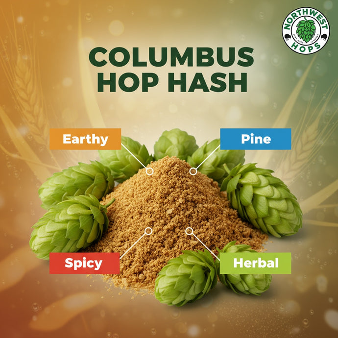 2024 Columbus Hop Hash – US Bold Citrus, Earthy & Spice Aroma Hops | Northwest Hops