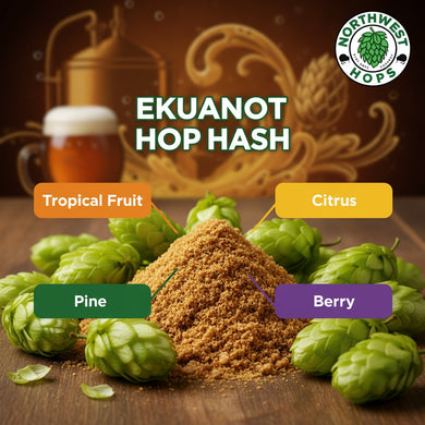 2024 Ekuanot Hop Hash – US Tropical, Citrus & Green Pepper Aroma Hops | Northwest Hops