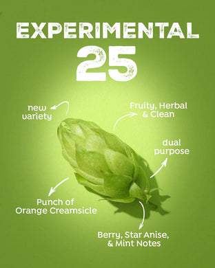 2024 US Experimental X25 T90 Hop Pellets