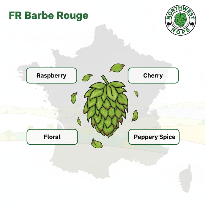 2024 FR Barbe Rouge Hop Pellets – French Red Berry & Citrus Aroma Hops | Northwest Hops