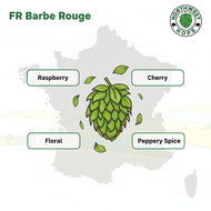 Barbe Rouge Hop Pellets 2024 – French Red Berry & Citrus Aroma Hops