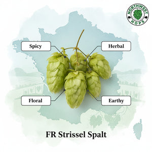 2024 FR Strisselspalt T90 Hop Pellets