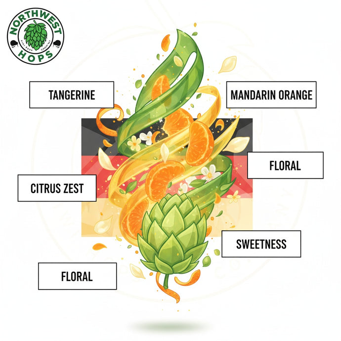 2024 GR Mandarina Bavaria Hop Pellets