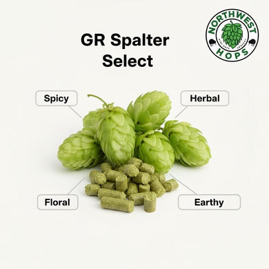 2024 GR Spalter Select T90 Hop Pellets