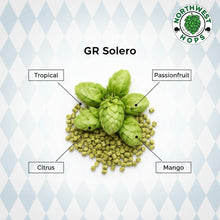 2024 GR Solero Hop Pellets