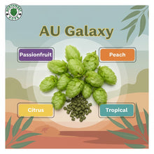2024 AU Galaxy® Hop Pellets – Australian Passionfruit & Citrus Aroma Hops | Northwest Hops