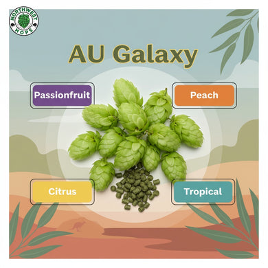 2024 AU Galaxy® Hop Pellets – Australian Passionfruit & Citrus Aroma Hops | Northwest Hops