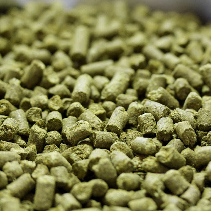 2023 US Bergamot™ T90 Hop Pellets