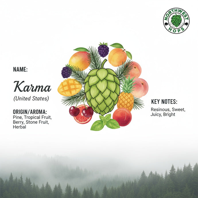 2025 US Karma (X25) Hop Pellets – American Experimental Aroma Hops | Northwest Hops