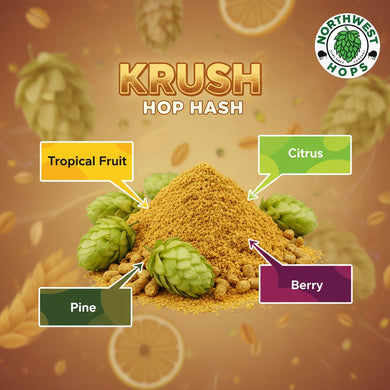 2024 Krush Hop Hash – US Tropical & Citrus Aroma Hops | Northwest Hops