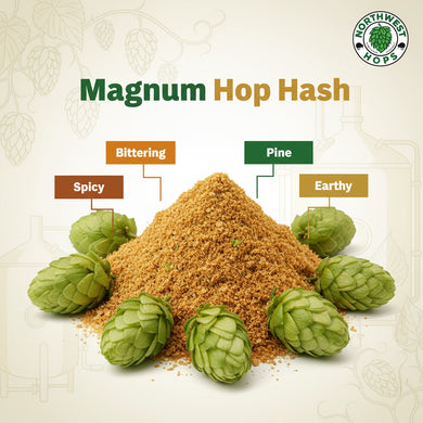 2024 Magnum Hop Hash – US Clean Bittering & Mild Spice Hops | Northwest Hops