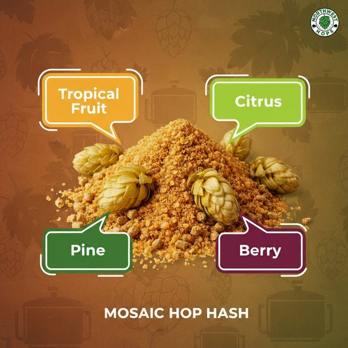 2024 Mosaic Hop Hash – US Tropical, Berry & Citrus Aroma Hops | Northwest Hops