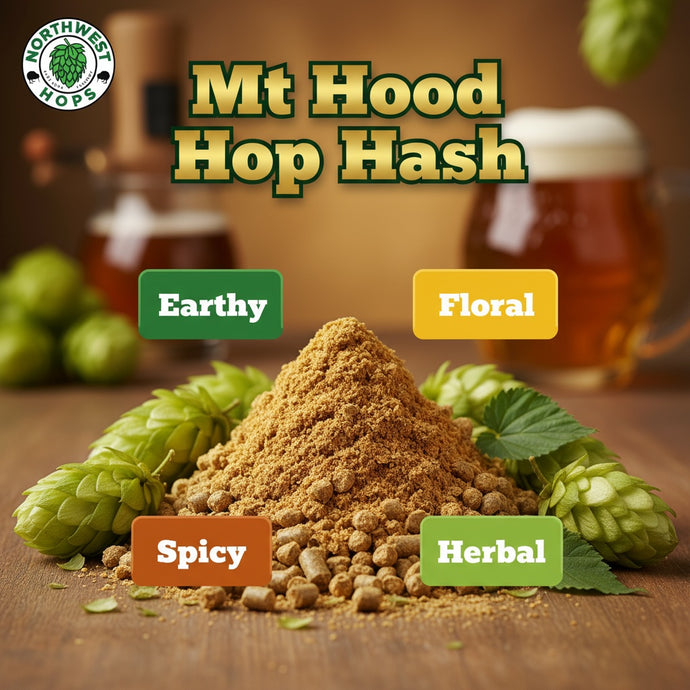 2024 Mt Hood Hop Hash – US Mild Floral & Herbal Aroma Hops | Northwest Hops