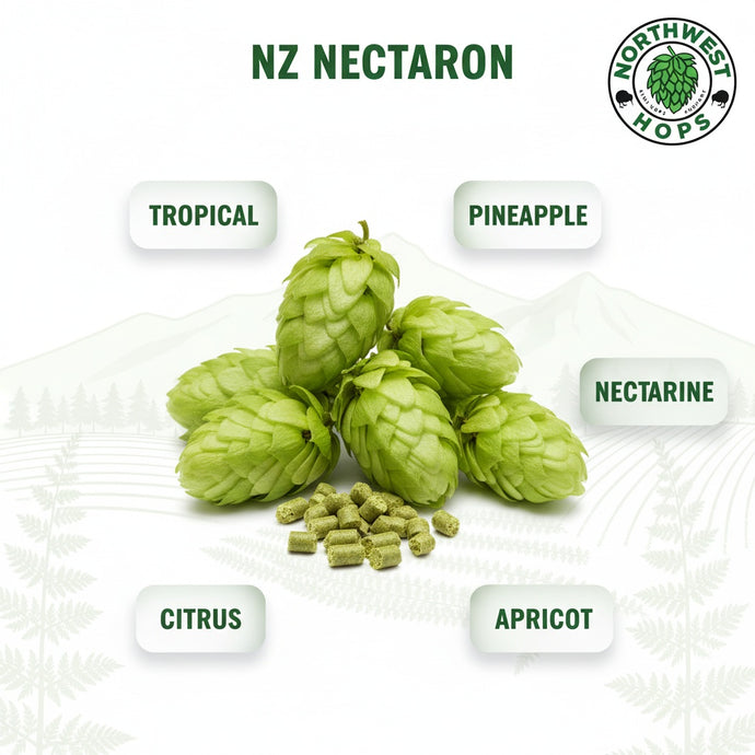2024 NZ Nectaron T90 Hop Pellets
