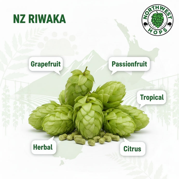 2024 NZ Riwaka T90 Hop Pellets