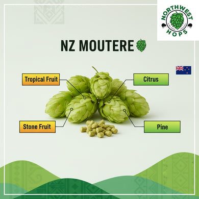 2024 NZ Moutere Hop Pellets – New Zealand Grapefruit & Tropical Aroma Hops | Northwest Hops