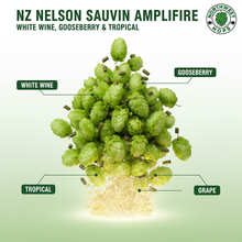 2024 NZ Nelson Sauvin Amplifire Hop Pellets – White Grape & Gooseberry Aroma Hops | Northwest Hops