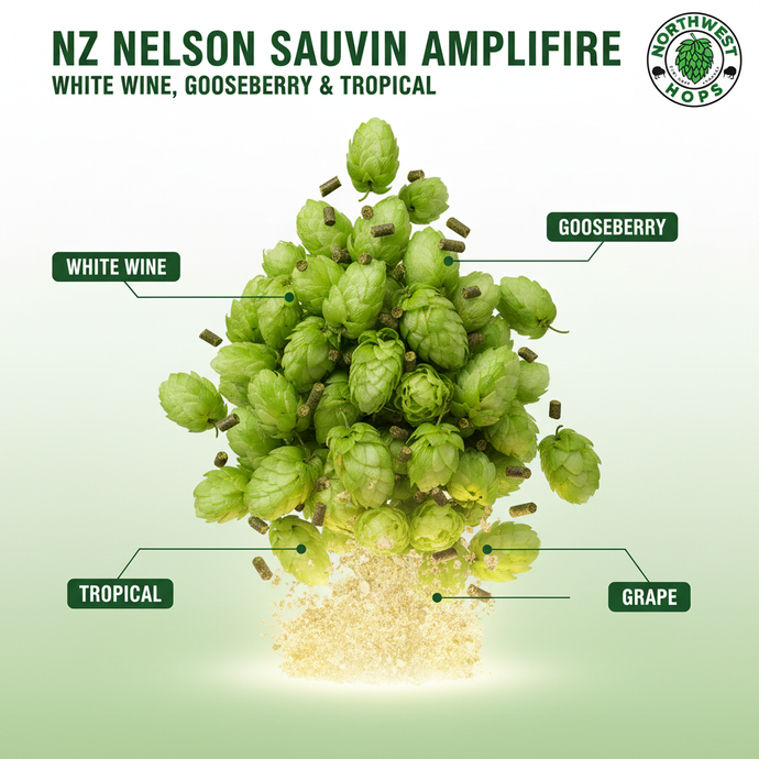 2024 NZ Nelson Sauvin Amplifire Hop Pellets – White Grape & Gooseberry Aroma Hops | Northwest Hops