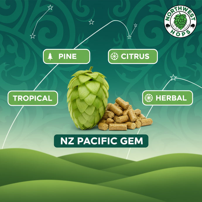 2024 NZ Pacific Gem Hop Pellets – New Zealand Berry & Oak Aroma Hops | Northwest Hops