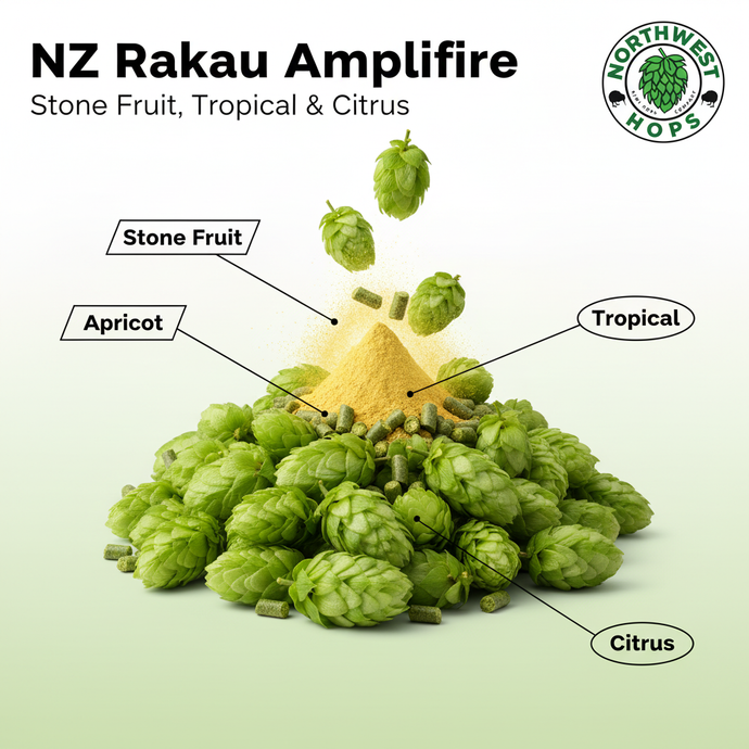 2024 NZ Rakau Amplifire Hop Pellets – Stone Fruit & Apricot Aroma Hops | Northwest Hops