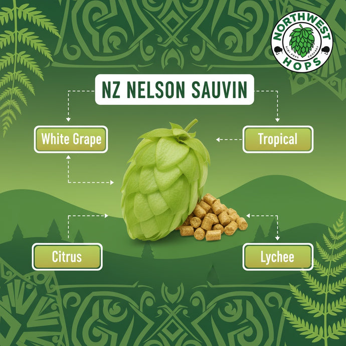 2025 NZ Nelson Sauvin Hop Pellets – New Zealand White Wine & Gooseberry Aroma Hops | Northwest Hops