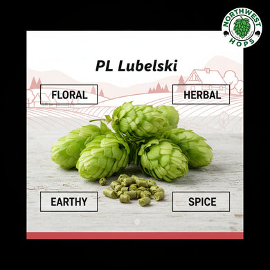 2024 PL Lubelski Hop Pellets – Polish Floral & Herbal Aroma Hops | Northwest Hops