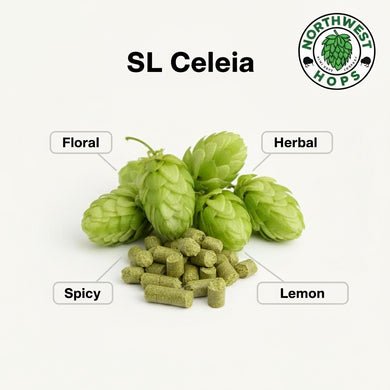 2024 SL Celeia (Styrian Golding) T90 Hop Pellets