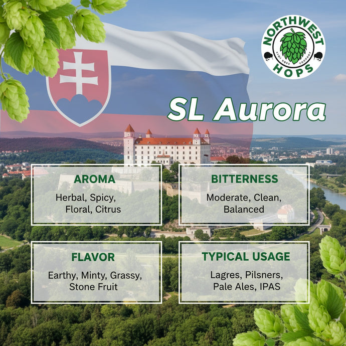 2022 SL Aurora Hop Pellets – Slovenian Floral & Herbal Aroma Hops | Northwest Hops